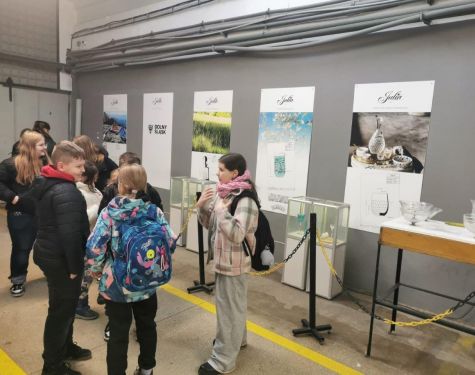 IMG WA0004  002  767